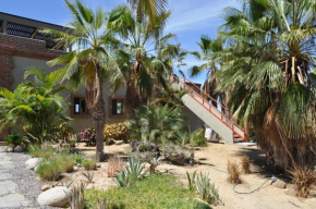 The Cozy Nest - Best Kept Secret in Todos Santos